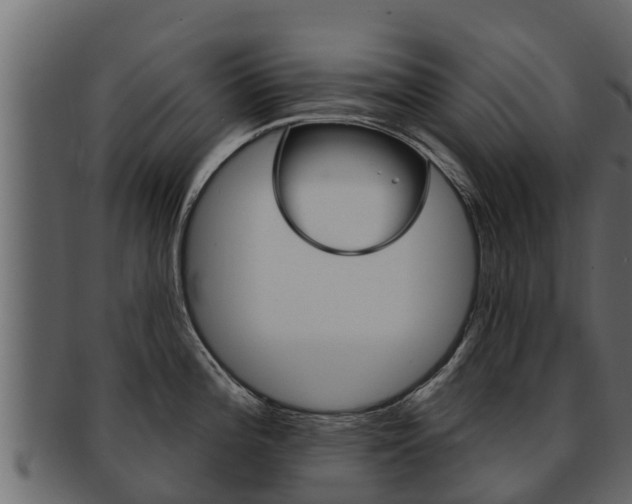X0000093221196200709261439