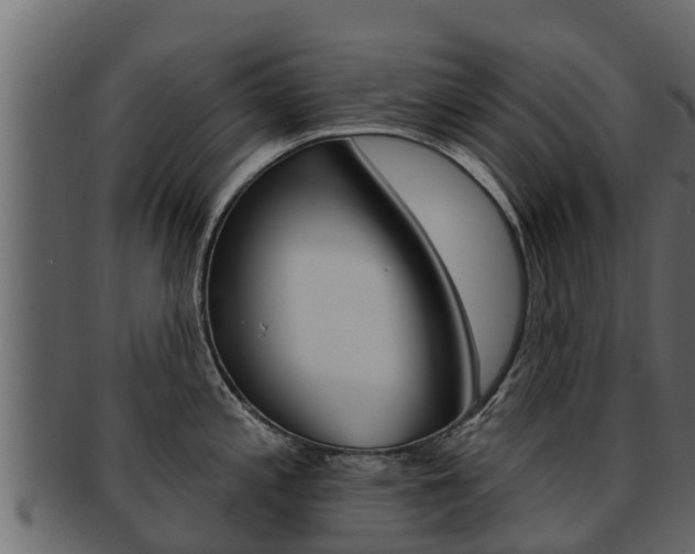 X0000093221197200709261439