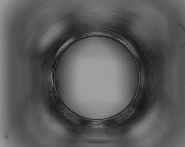 X0000093221198200709261439