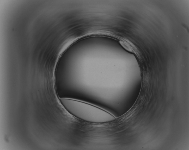 X0000093221199200709261439