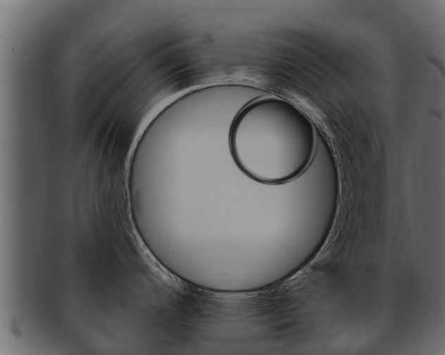 X0000093221200200709261439