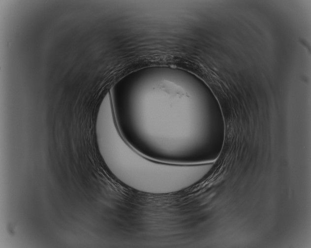 X0000093221202200709261438