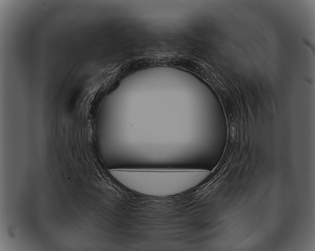 X0000093221204200709261438