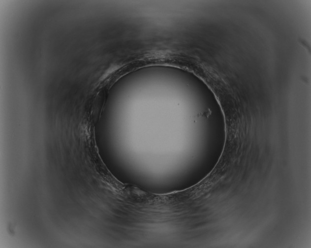 X0000093221206200709261438