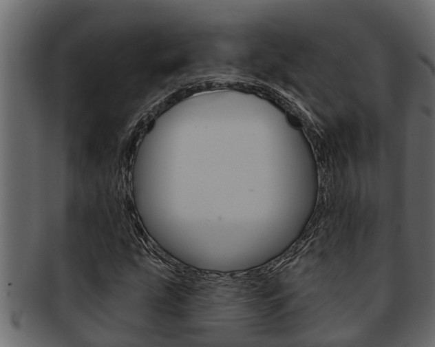 X0000093221207200709261439