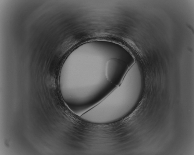 X0000093221209200709261439