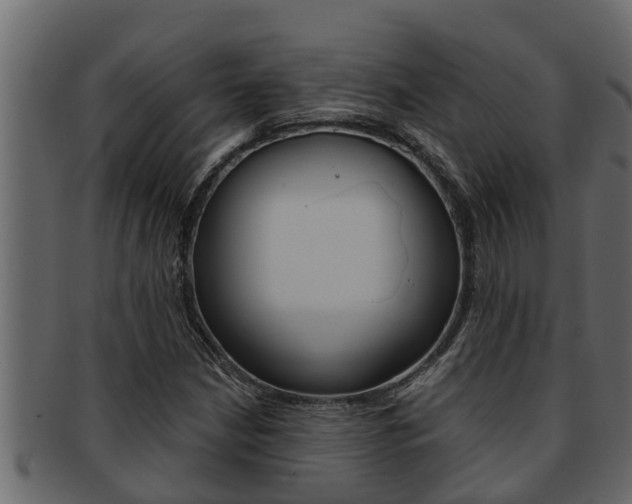 X0000093221210200709261439