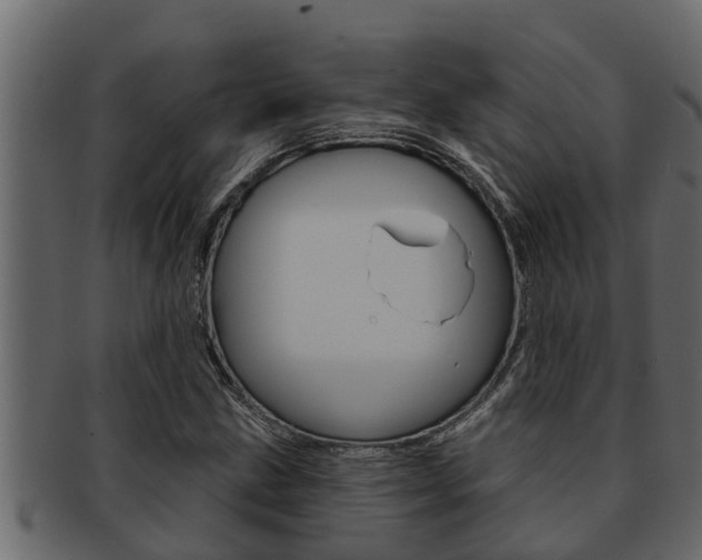 X0000093221211200709261439