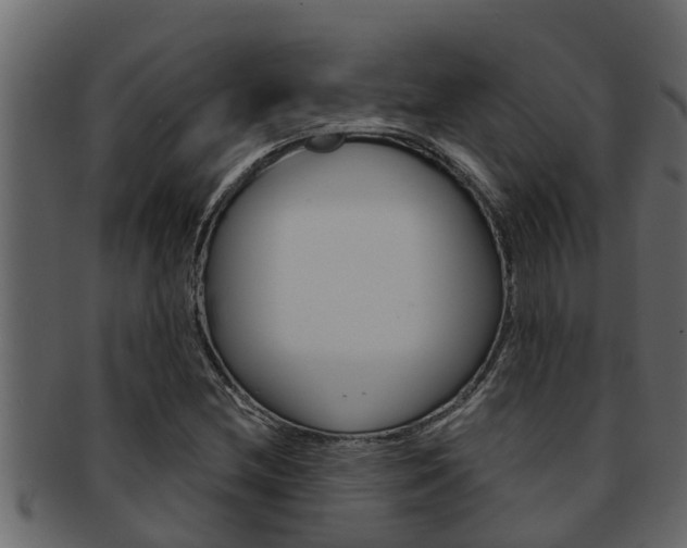 X0000093221212200709261439