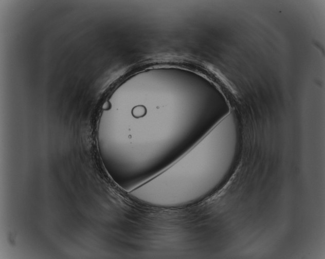 X0000093221213200709261439