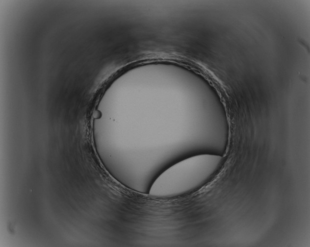 X0000093221215200709261439