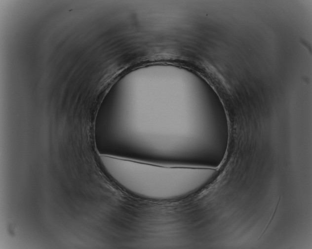 X0000093221217200709261439
