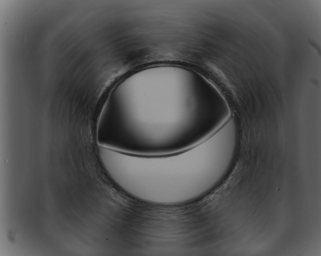 X0000093221218200709261439