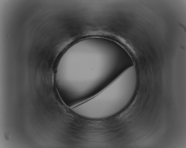 X0000093221221200709261439