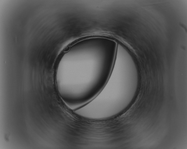 X0000093221222200709261439