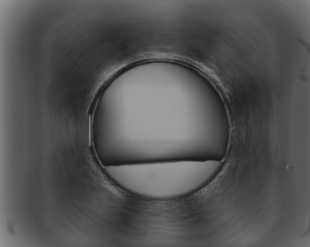 X0000093221223200709261439