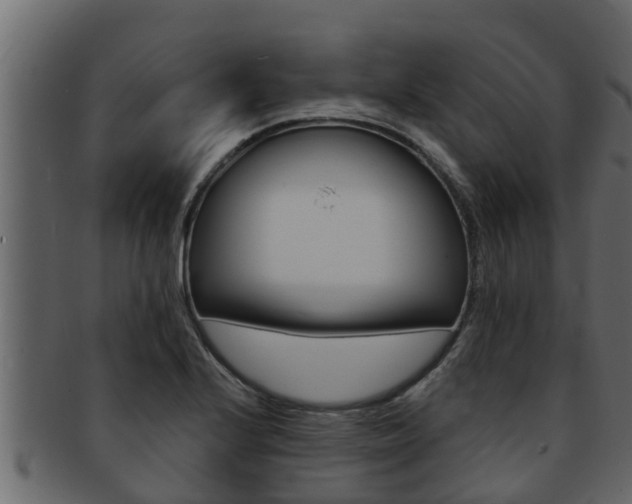 X0000093221224200709261439