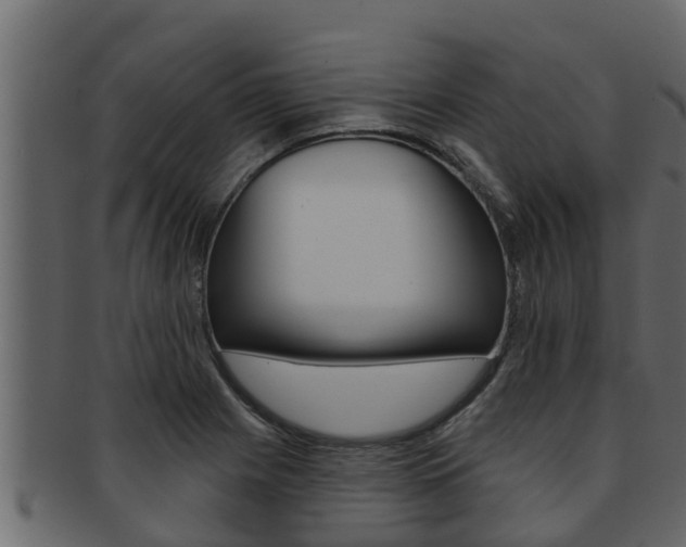 X0000093221225200709261439