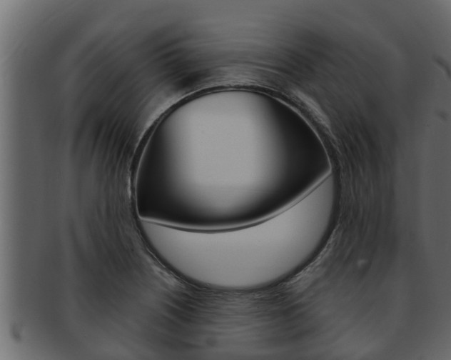 X0000093221226200709261439
