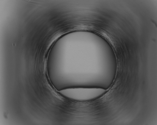 X0000093221227200709261439