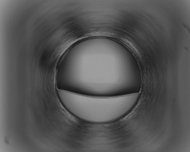X0000093221228200709261439