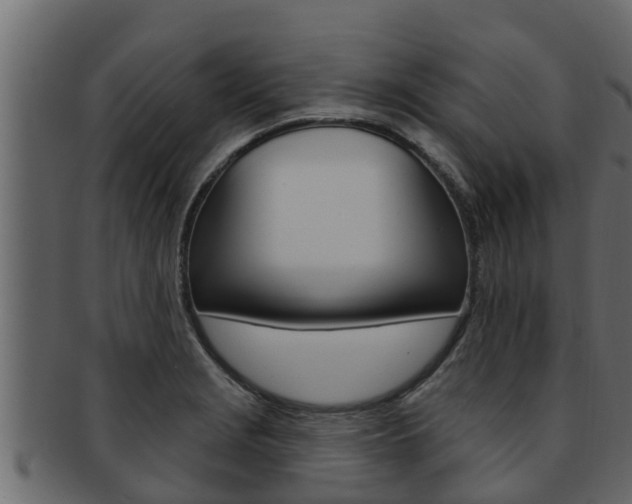 X0000093221229200709261439
