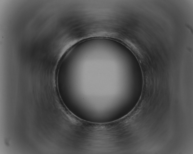 X0000093221230200709261439