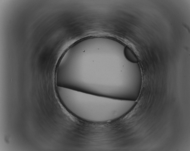 X0000093221231200709261439