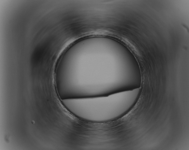 X0000093221232200709261439