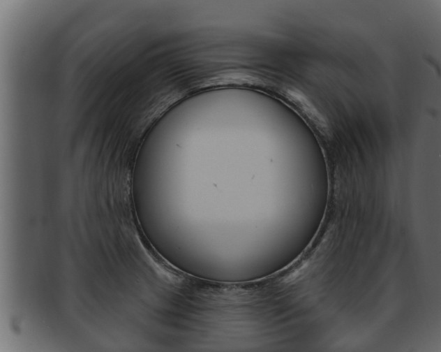X0000093221233200709261439