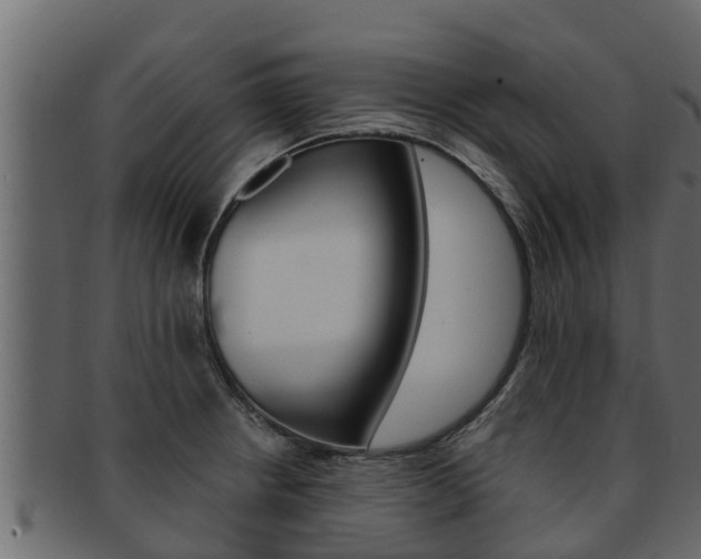 X0000093221234200709261439
