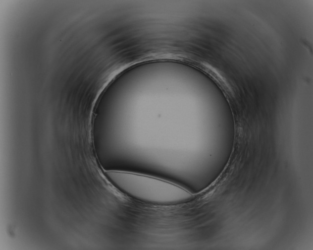 X0000093221236200709261439