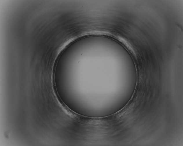 X0000093221237200709261439