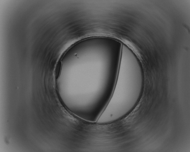 X0000093221238200709261439
