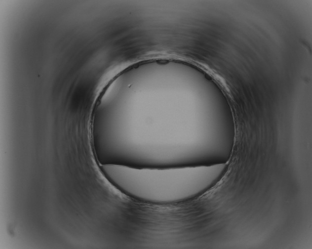 X0000093221239200709261439