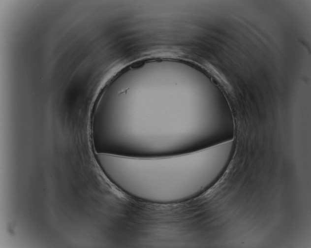 X0000093221240200709261439