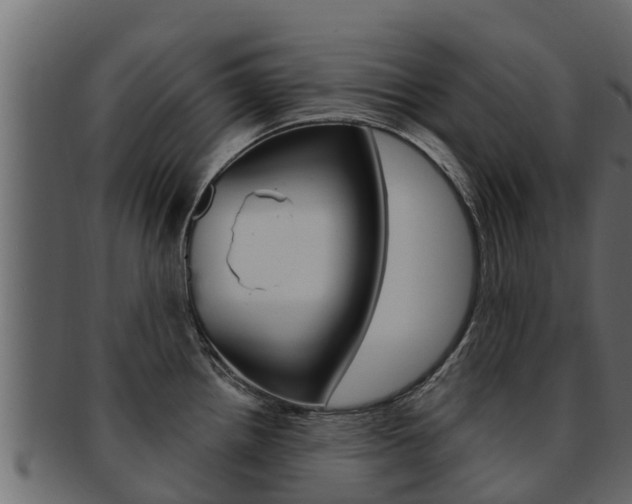 X0000093221242200709261439