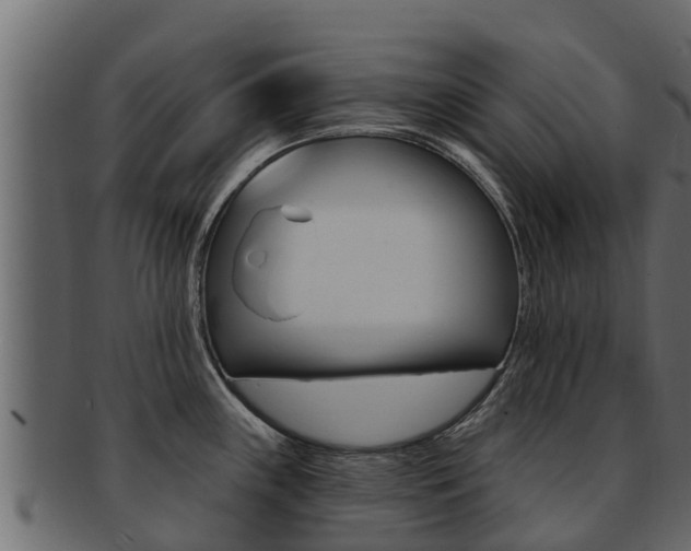 X0000093221243200709261439
