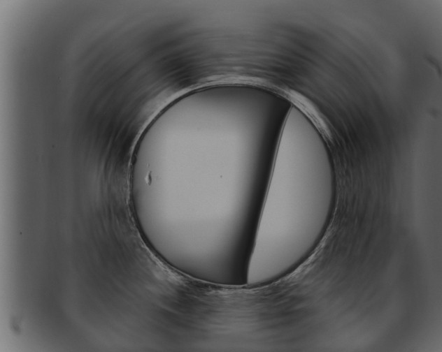 X0000093221244200709261439