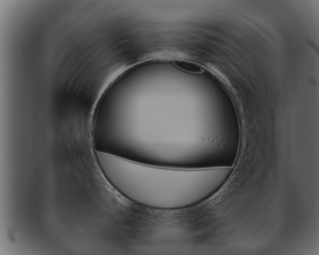 X0000093221248200709261439