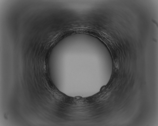 X0000093221252200709261438
