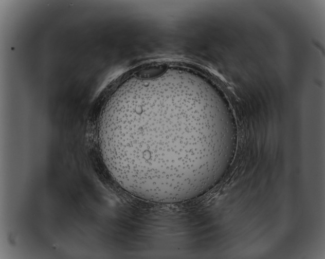X0000093221255200709261438