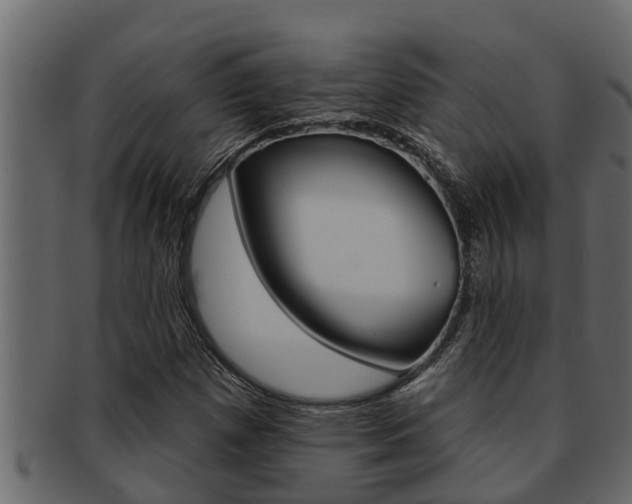 X0000093221257200709261438