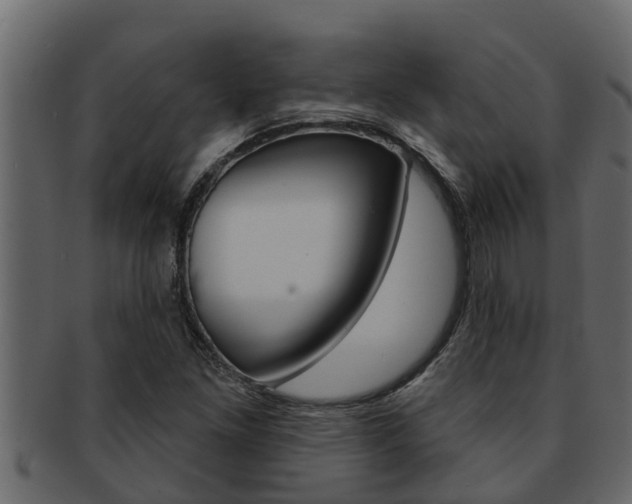 X0000093221261200709261438