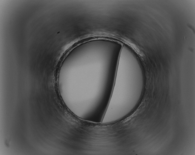 X0000093221264200709261438