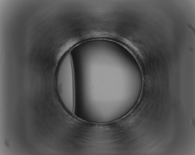 X0000093221269200709261438