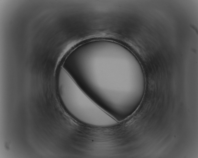 X0000093221270200709261438