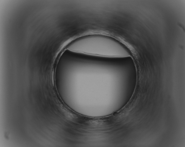 X0000093221272200709261438