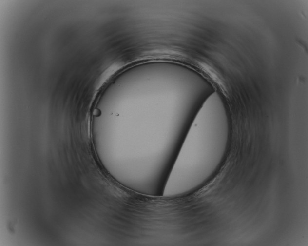 X0000093221275200709261438