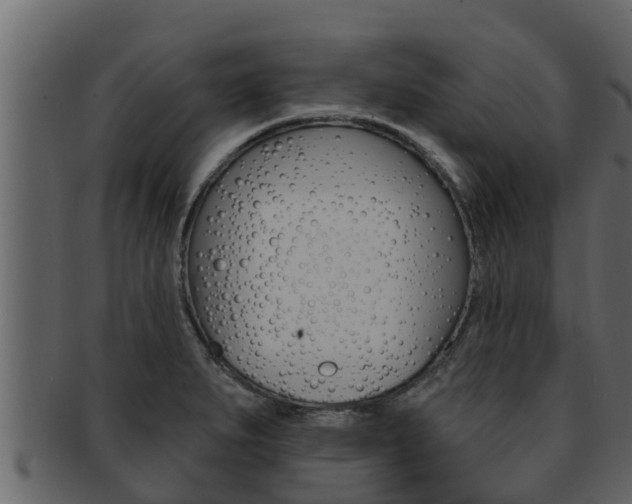 X0000093221279200709261438